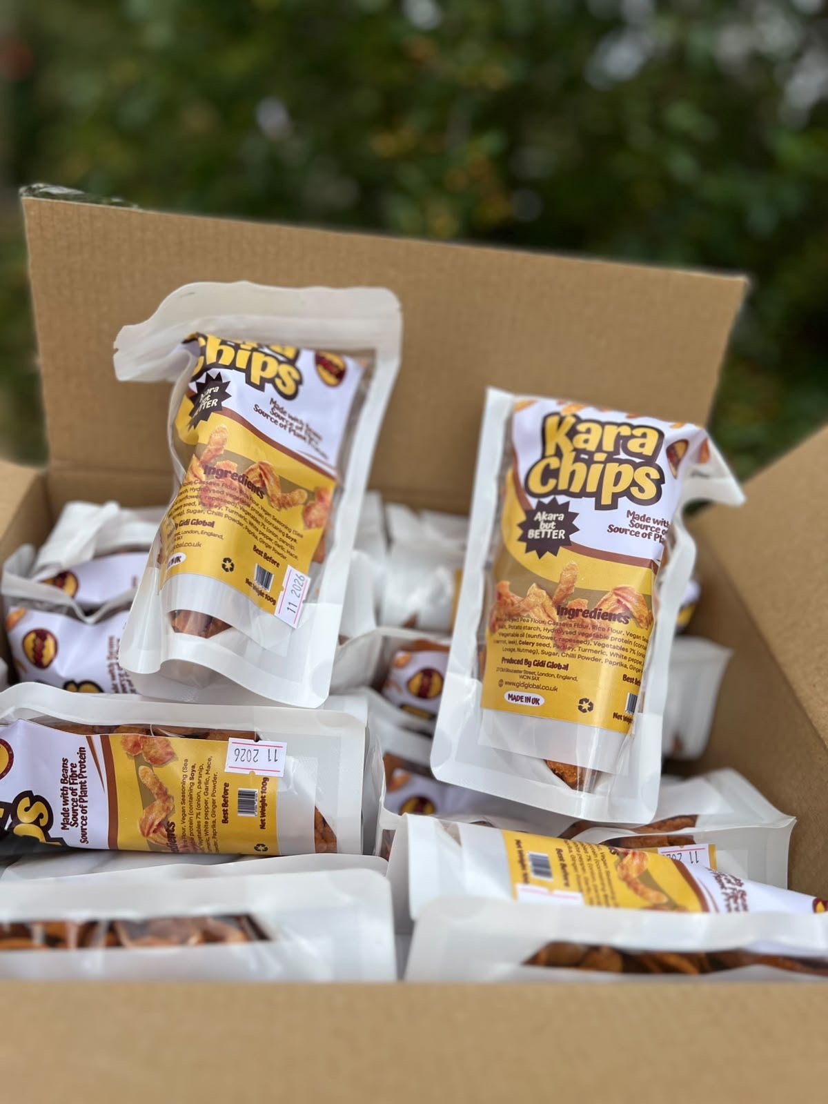Back 2 School Bundle